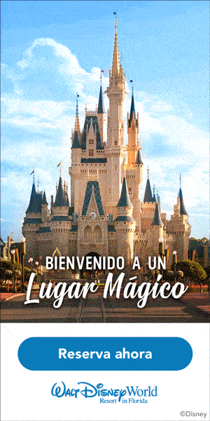 Oferta especial