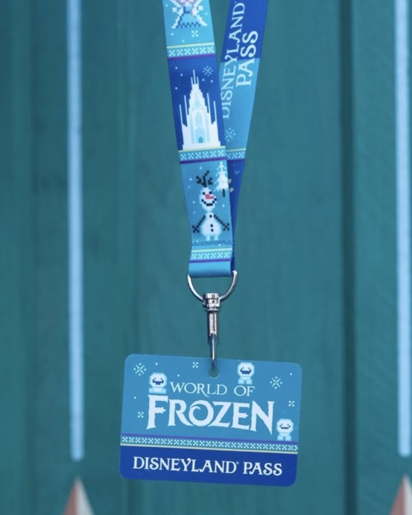 Merchandising World of Frozen Paris