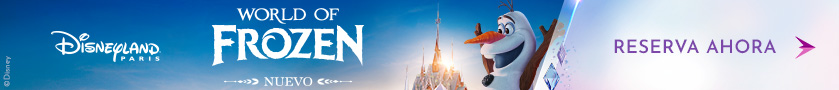 Banner WDW